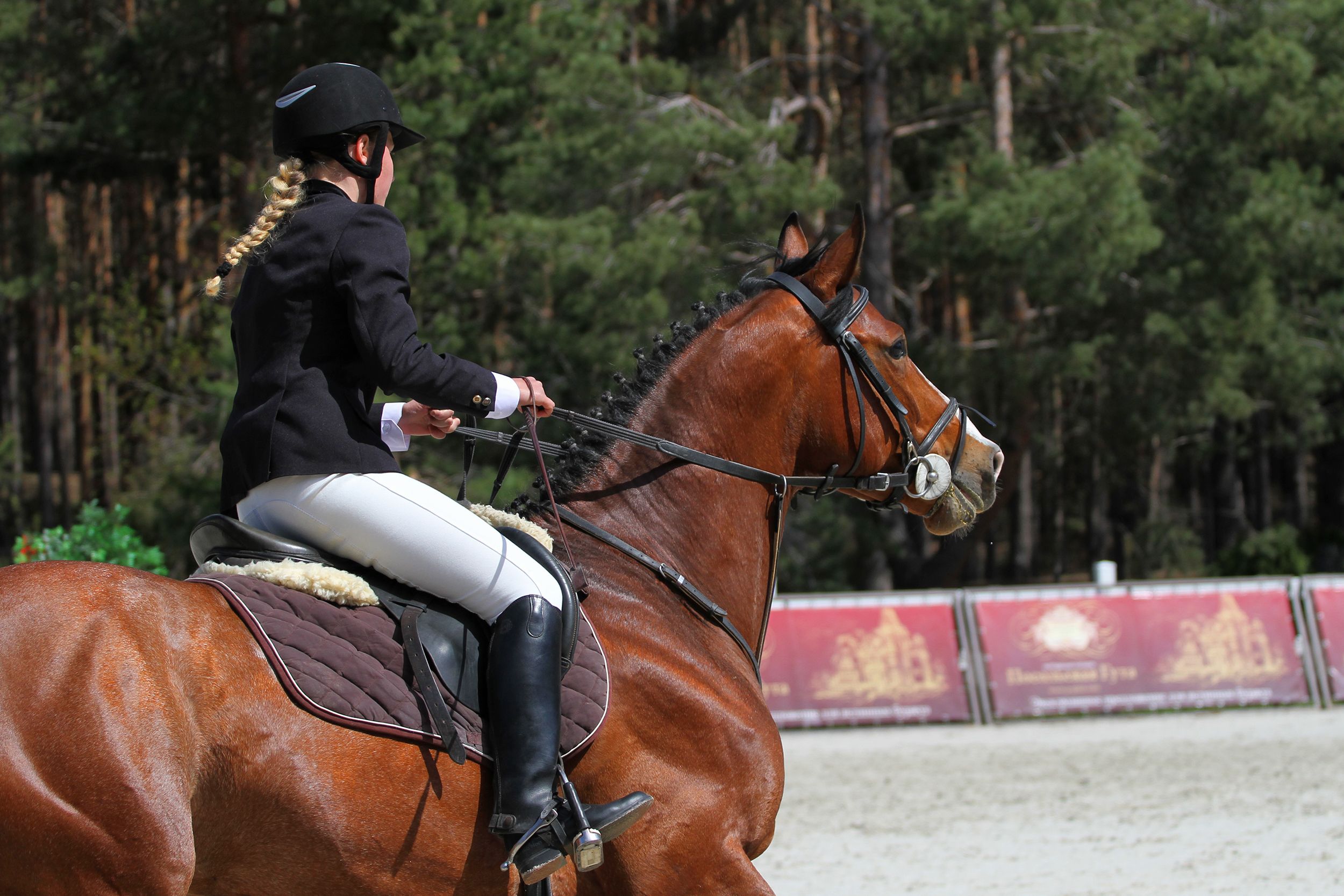A skilled equestrian rider in action on a brown horse during a sunny day event.