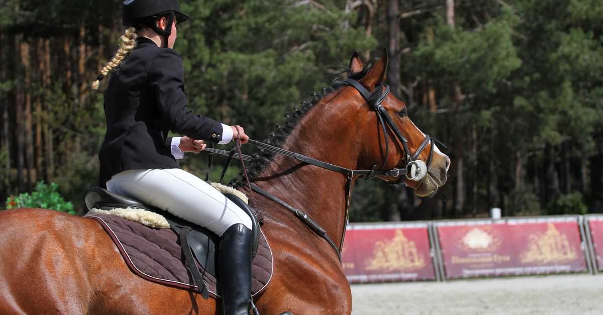 Esquestrian Rider Equestrian Rider on Horseback in Sunlit Arena · Free Stock Photo