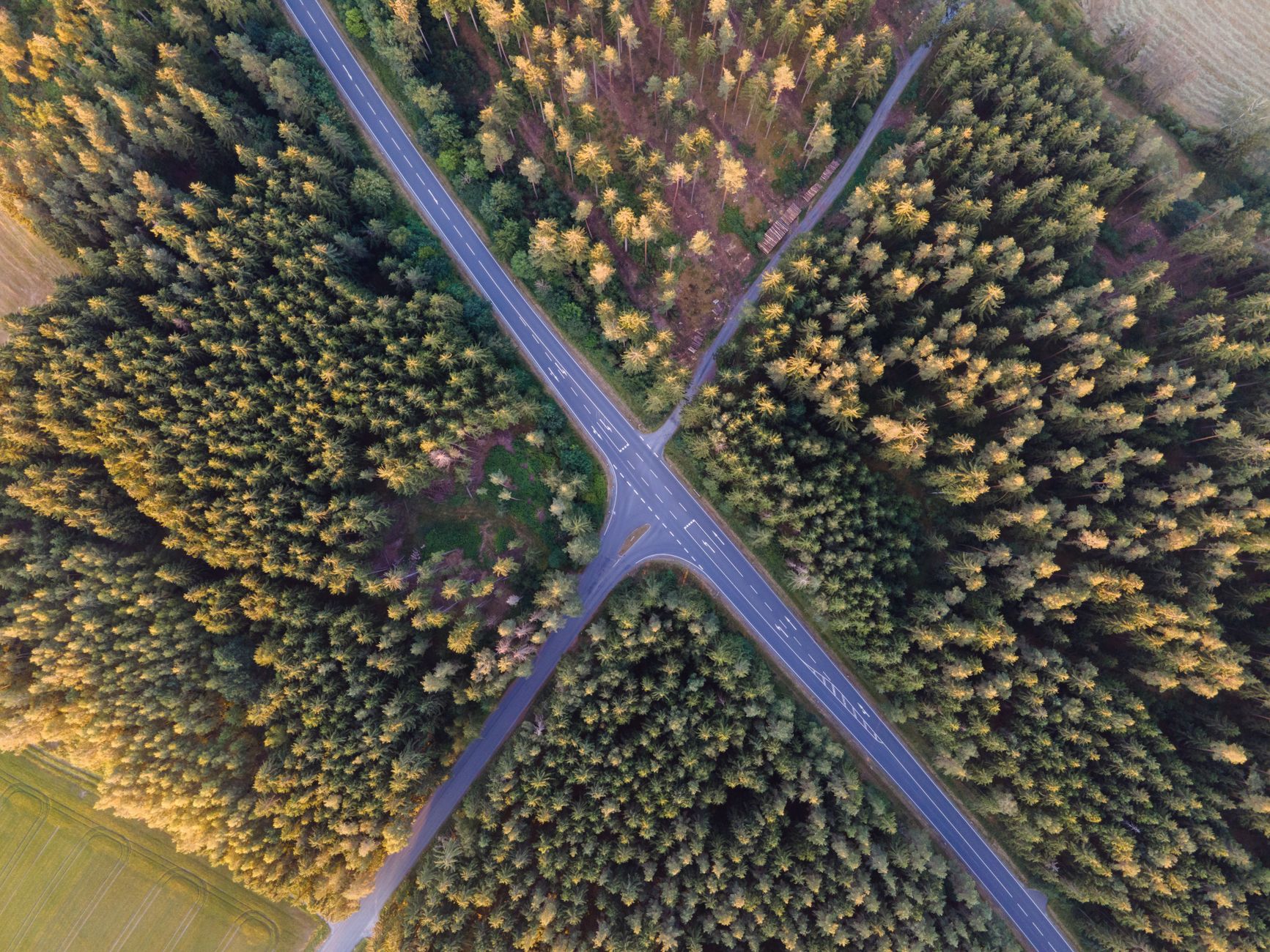 Aerial photo of forest intersection in Rehau, Germany at daylight.
