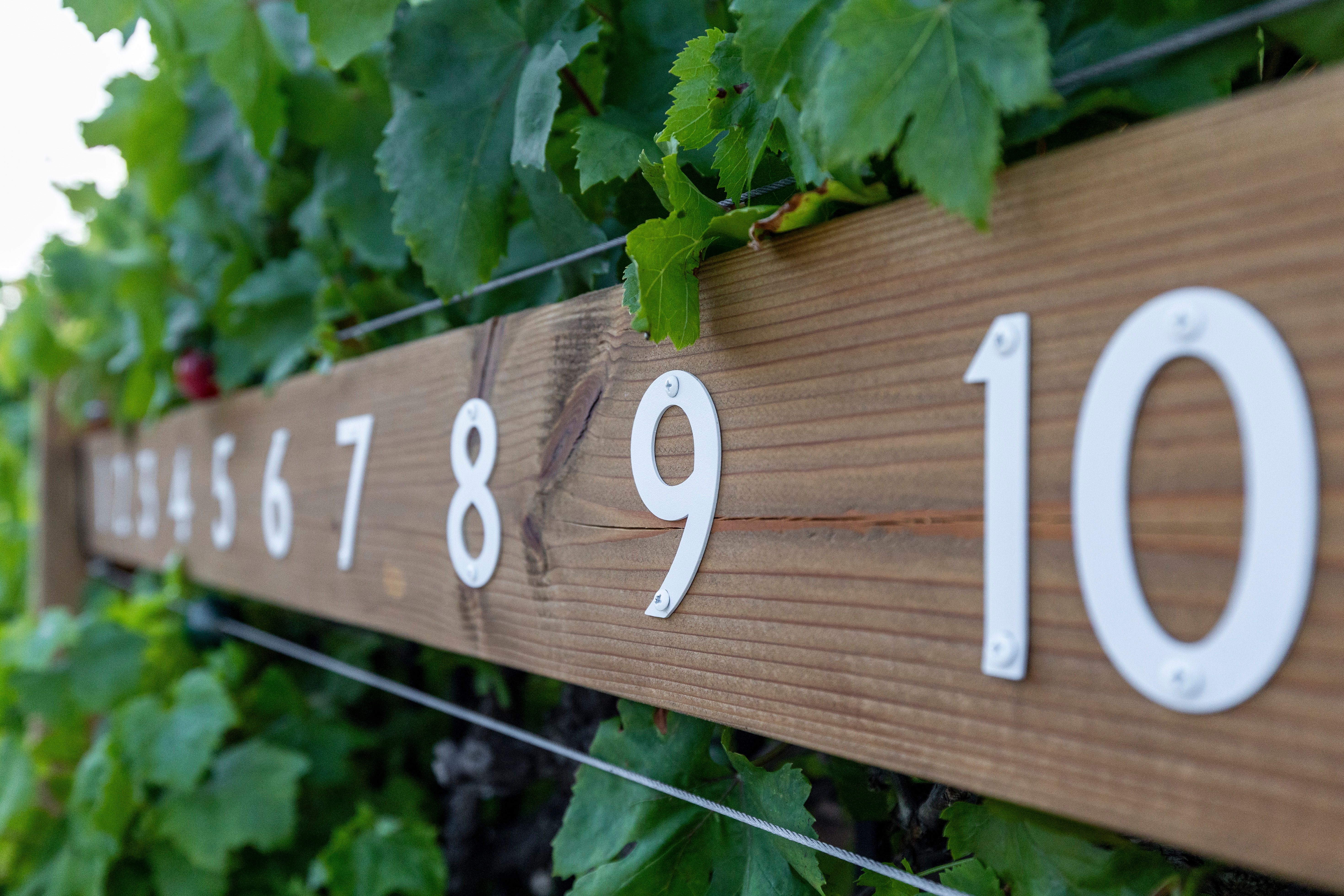 Wooden Fence with Numbers in Vineyard Setting · Free Stock Photo