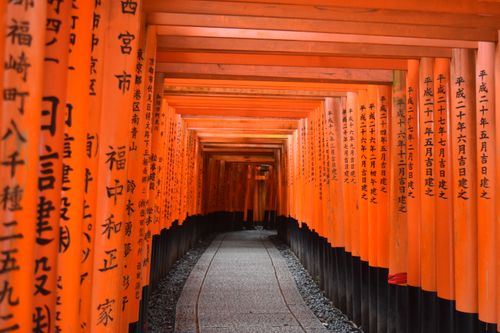 Free Vibrant torii gates at Fushimi Inari Taisha, Kyoto, Japan, showcasing traditional Japanese architecture. Stock Photo