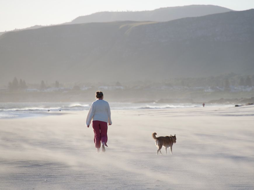 A woman walks her dog along a misty beach in Hermanus, South Africa during a serene day.