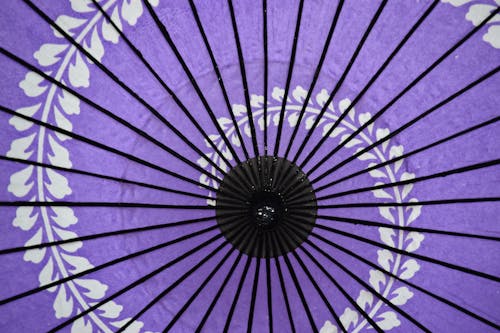 Darmowe zdjęcie z galerii z fioletowy, japonia, parasol
