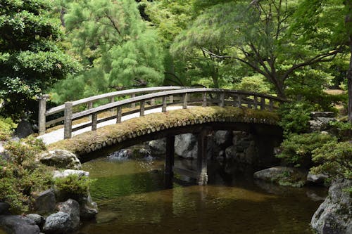 Free stock photo of bridge, garden, japan