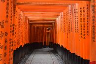 日本京都伏见稻荷神社的橙色鸟居大门透视图充满活力