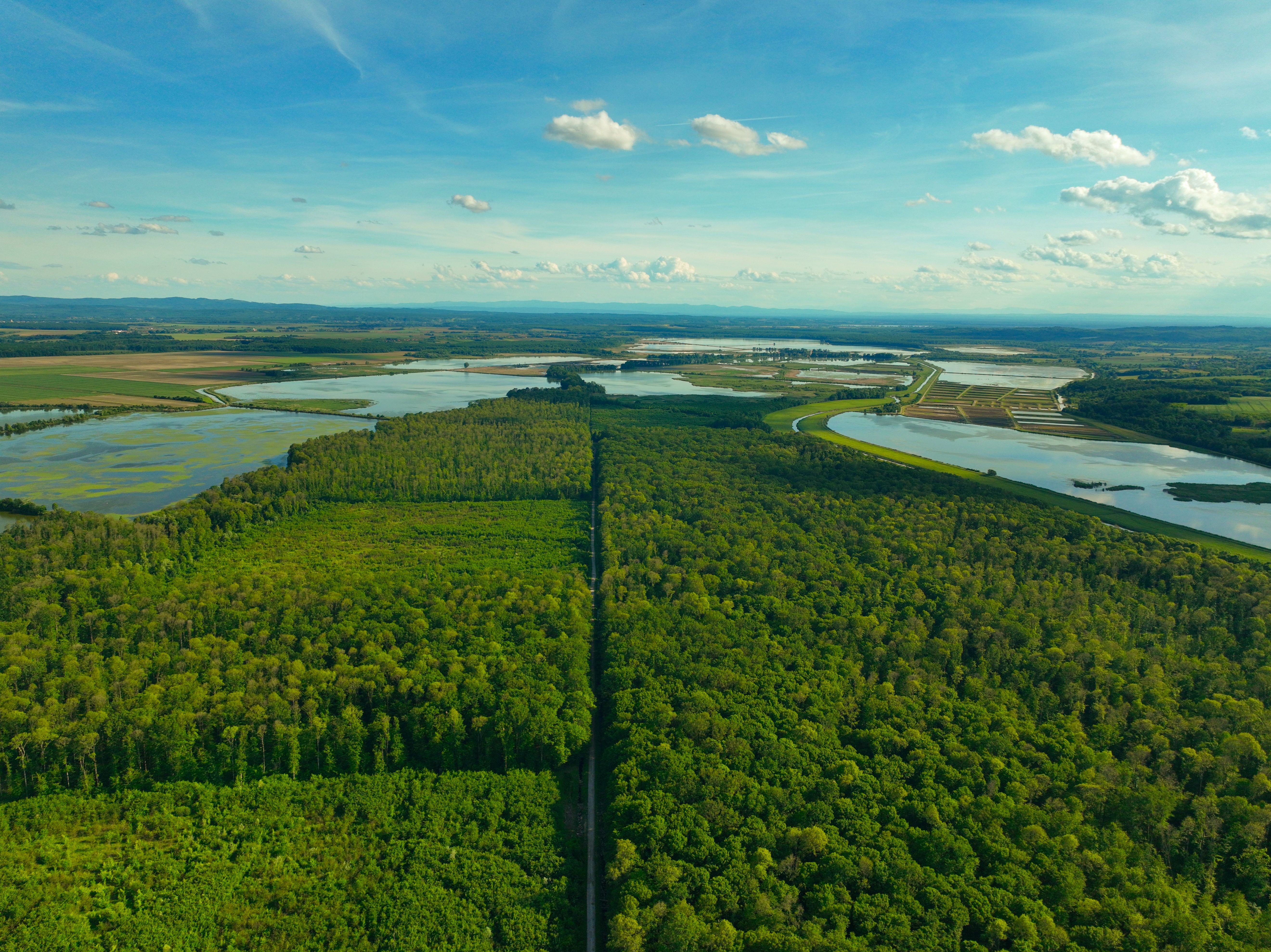 climate resilience, sea level rise, drought mitigation, ecosystem restoration, climate policy, Climate adaptation — Photo by 