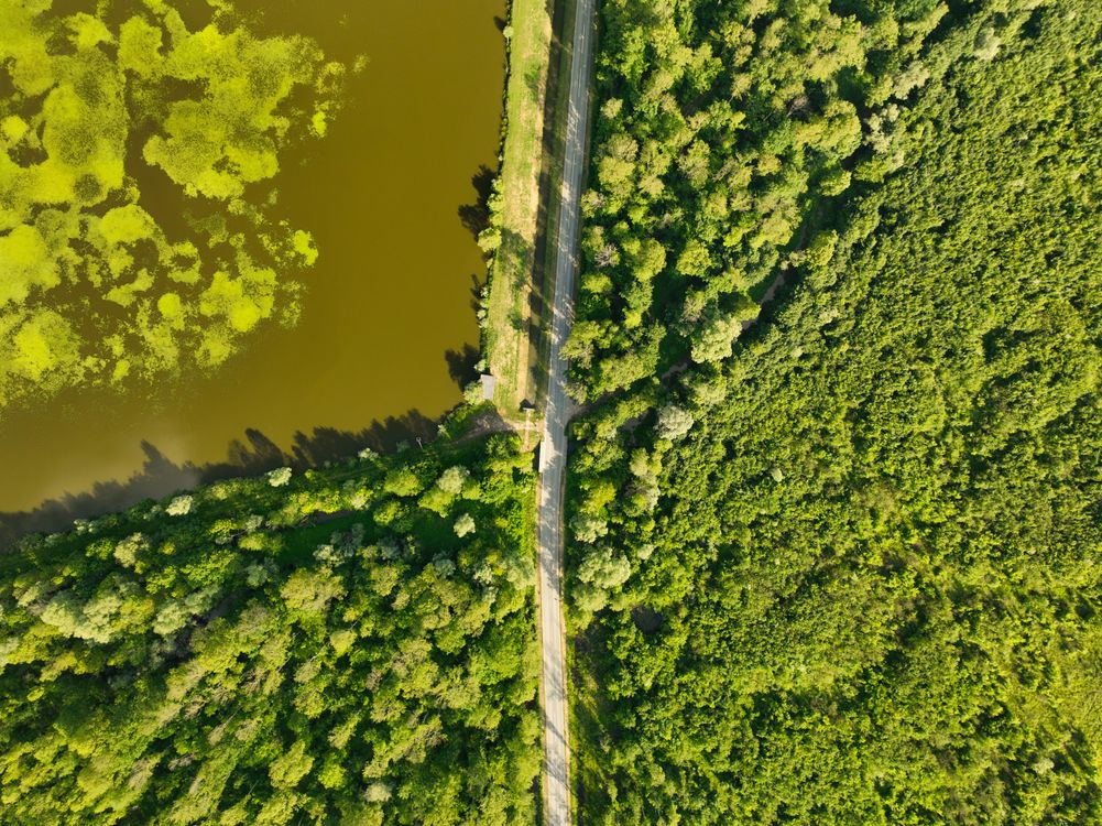 Free Drone shot of a road between dense forest and a river in Garešnica, Croatia's natural landscape. Stock Photo