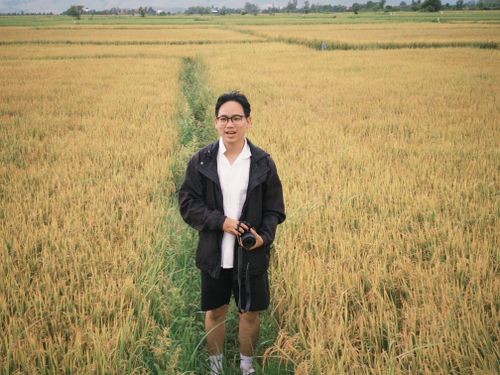 Free A young man with a camera stands in a golden rice field, embracing nature. Stock Photo