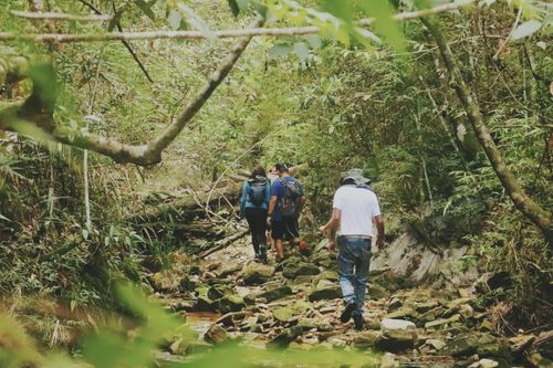 Free A group of people hiking through a lush, green forest on a rocky trail. Stock Photo