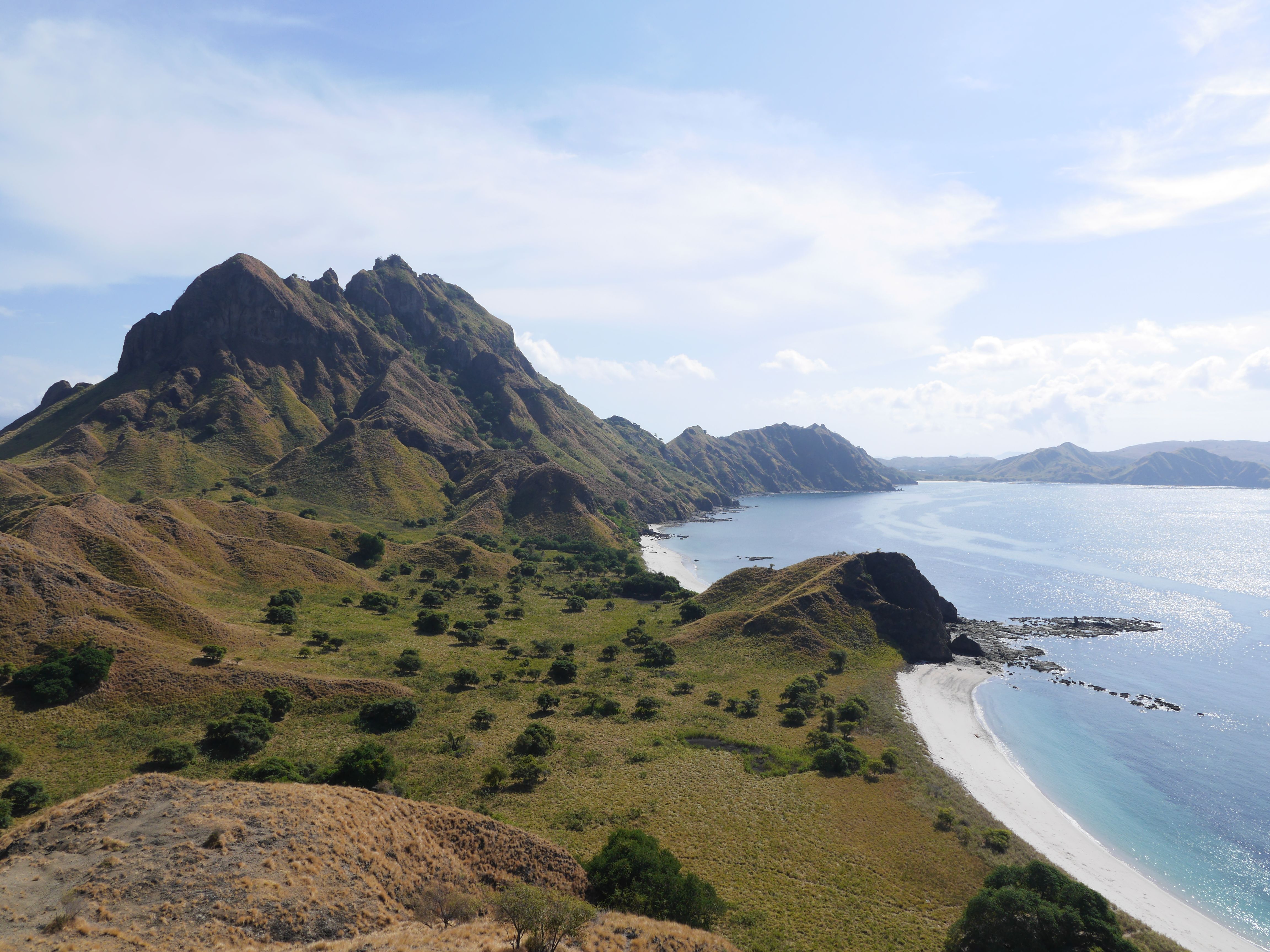 Komodo National Park: Surga Tersembunyi di Indonesia yang Mendunia