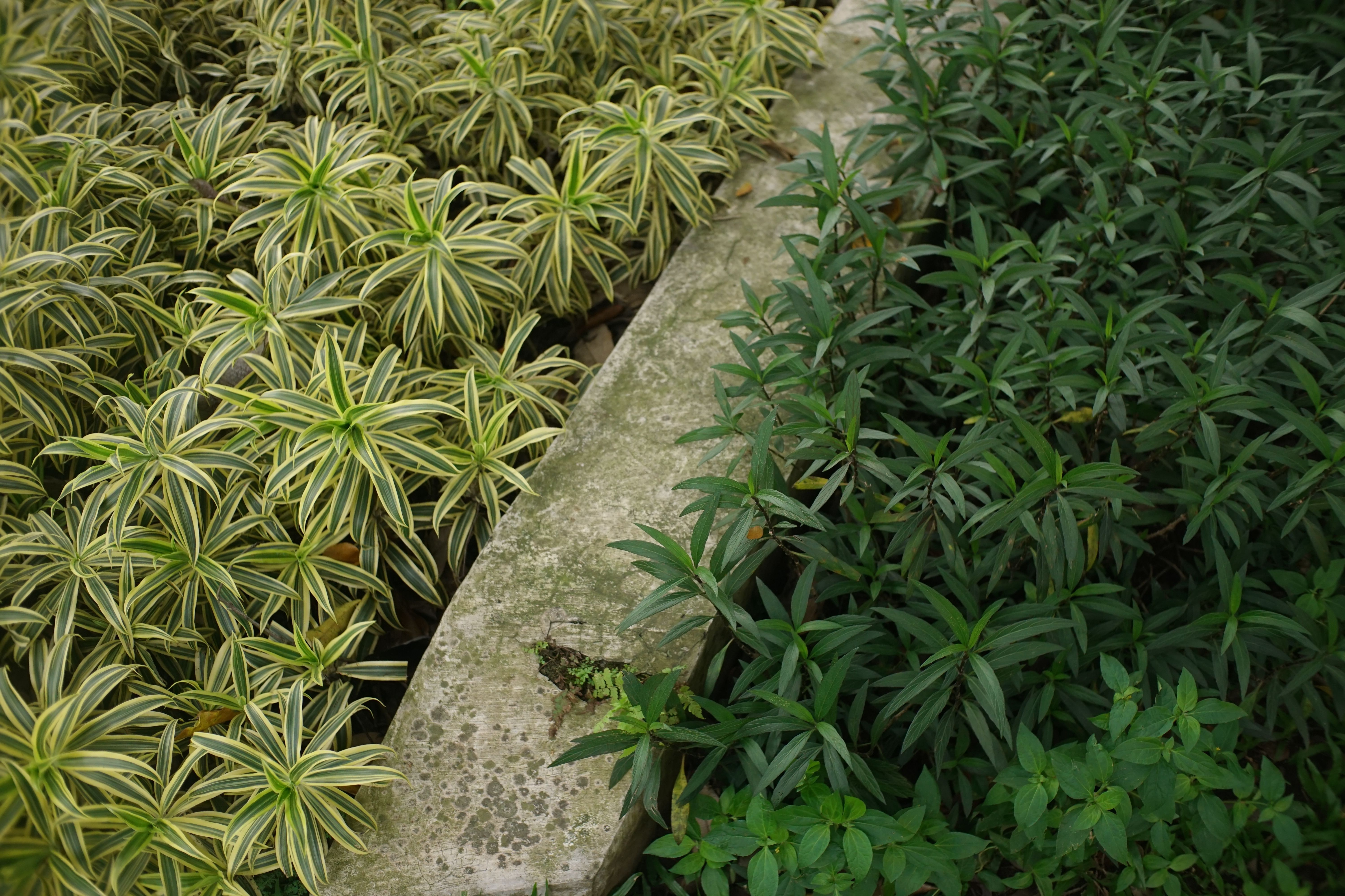 How Winterization Actually Works — And Why It Matters Beyond Pipes