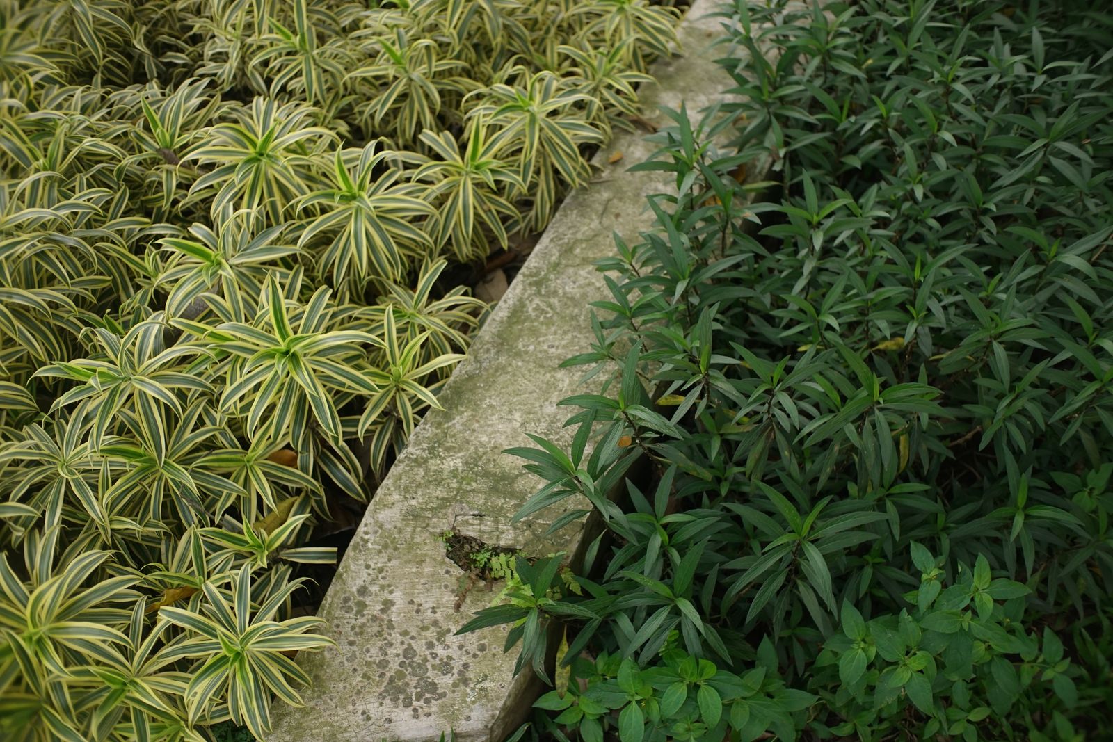 POTAGERS & JARDINS NOURRICIERS