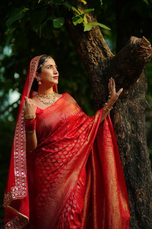 Elegant Woman in Traditional Indian Saree Outdoors · Free Stock Photo