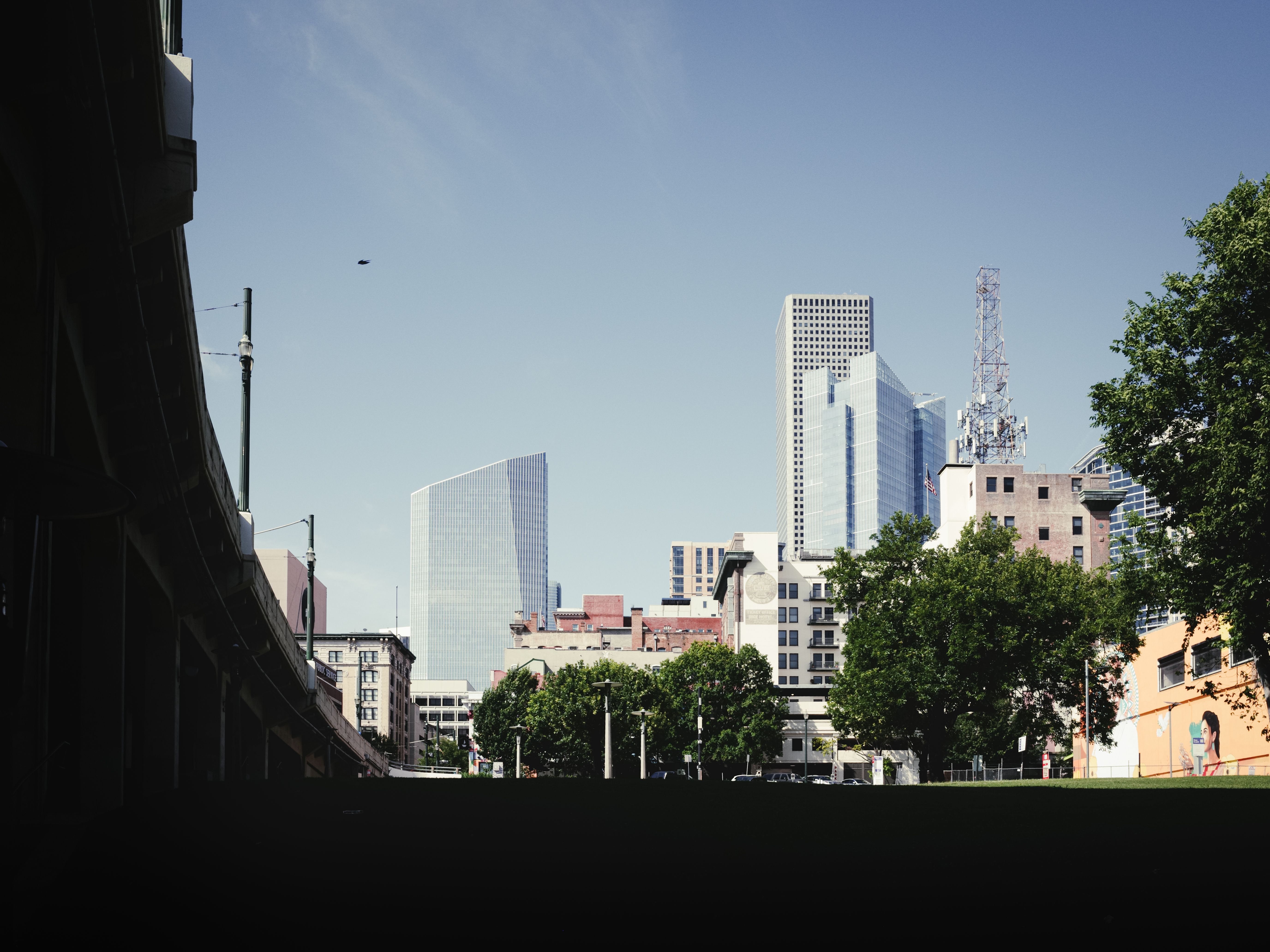 Foto: Eddie O. / Pexels