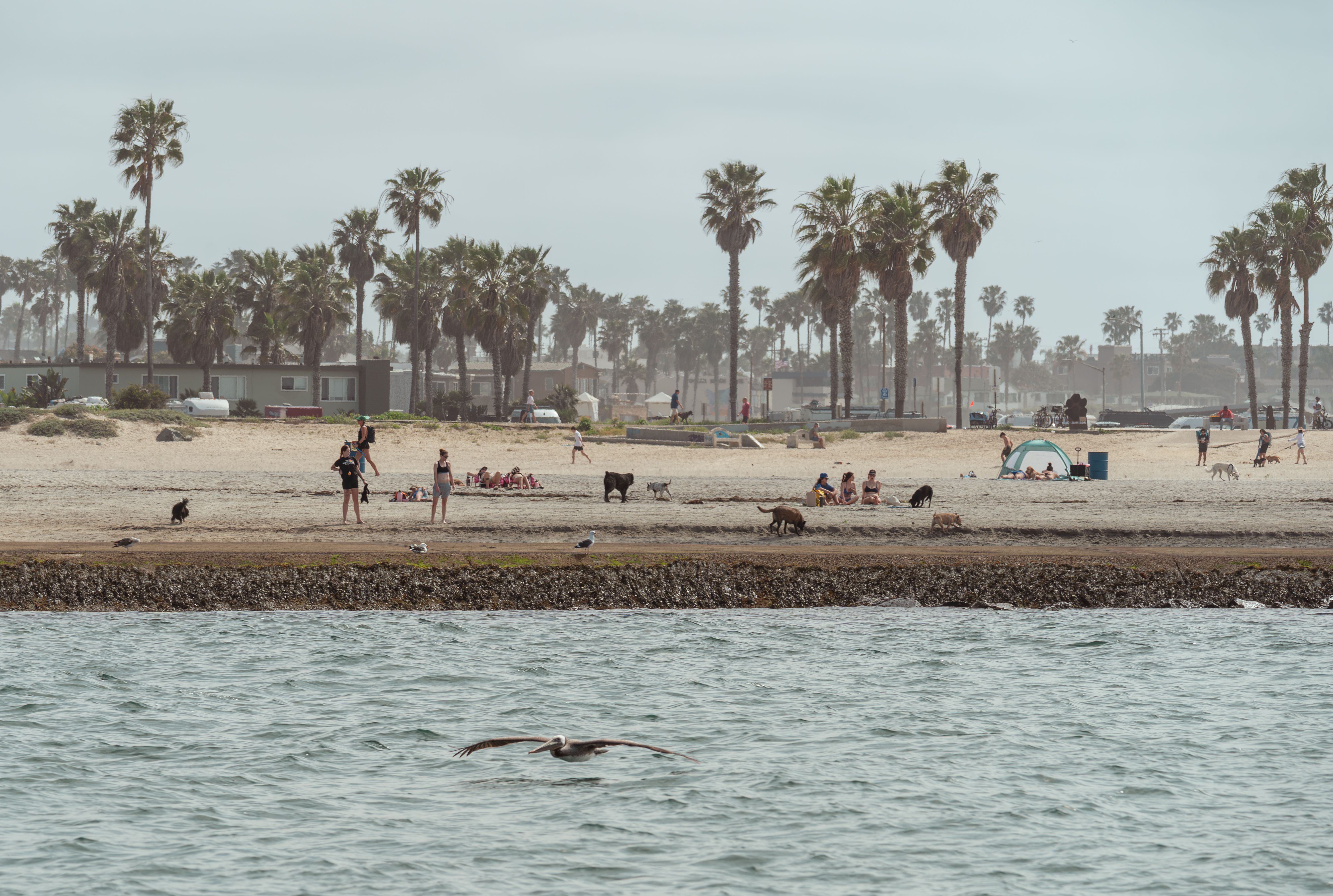 Mission Beach — Mission Beach