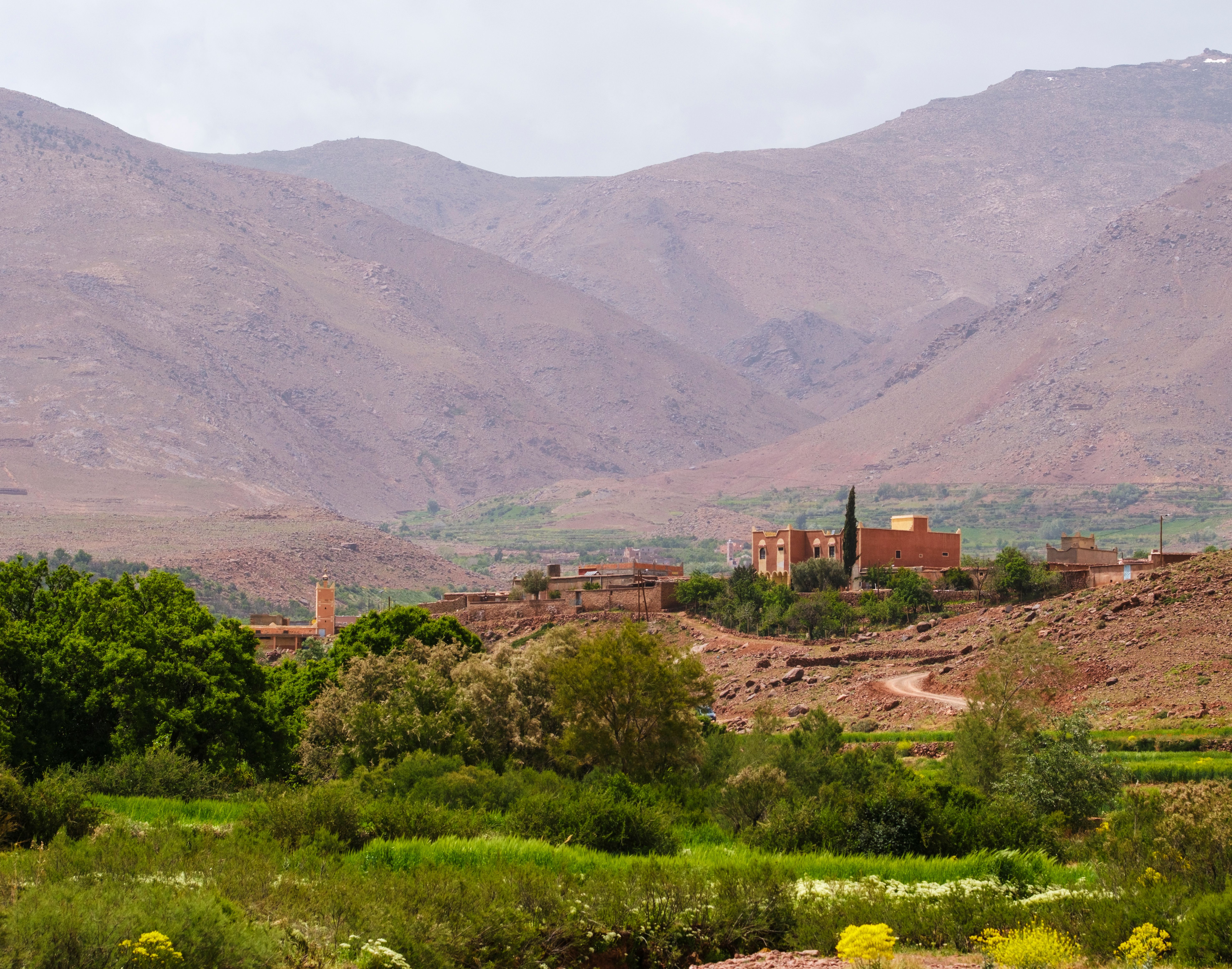 Atlas Mountains Day Trips from Marrakech: Imlil & Berber Villages 4 Winding path through traditional Berber village in Atlas Mountains Imlil Morocco