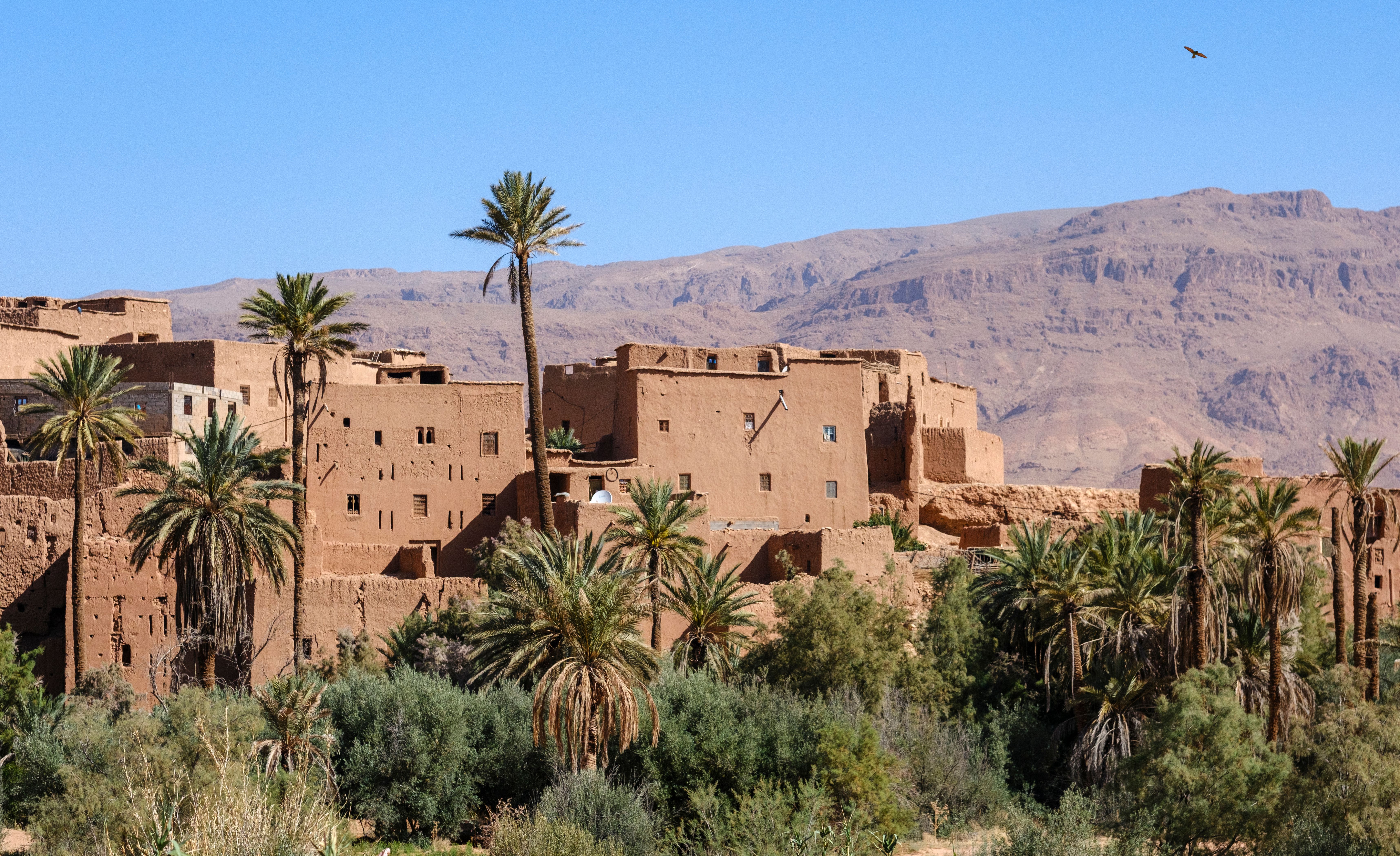 10 Day FX Mayr Detox, Cleanse & Rebalance Retreat in Morocco 2