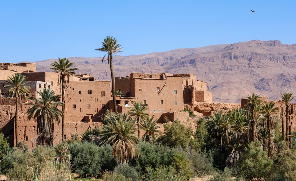 Explore palm groves and local paths.