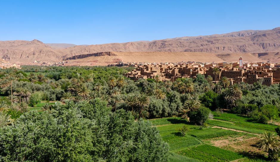 Lush oasis landscape with traditional Moroccan village against the backdrop of Atlas Mountains.