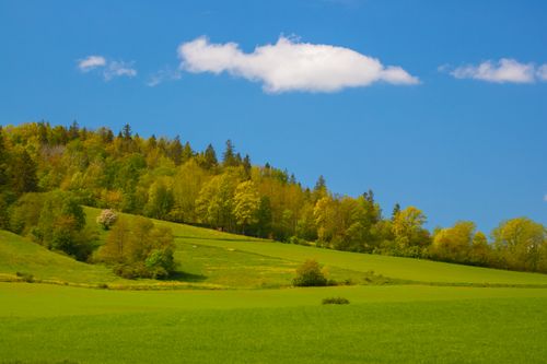 Free Vibrant green hills and blue sky in Jönköping during spring. Stock Photo