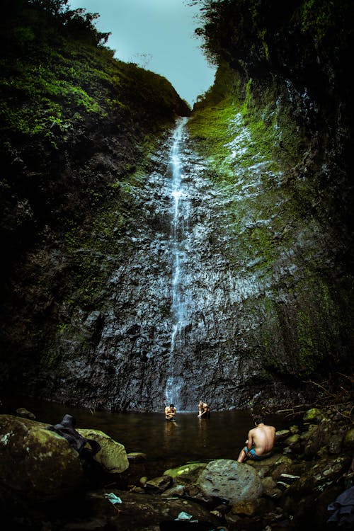 Ingyenes stockfotó a természet szépsége, hawaii, mozdony témában