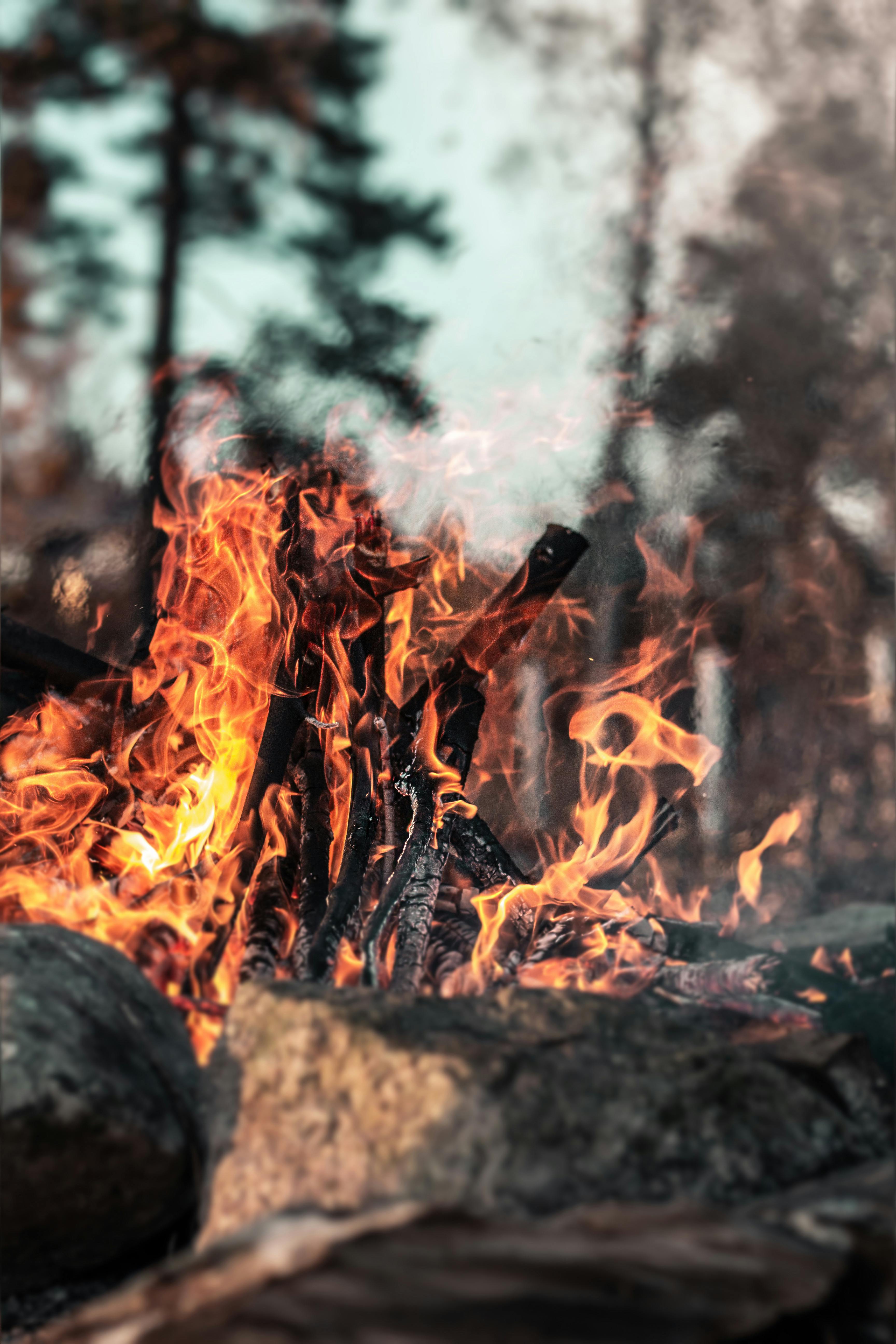 Burning Wood on Fire Pit · Free Stock Photo