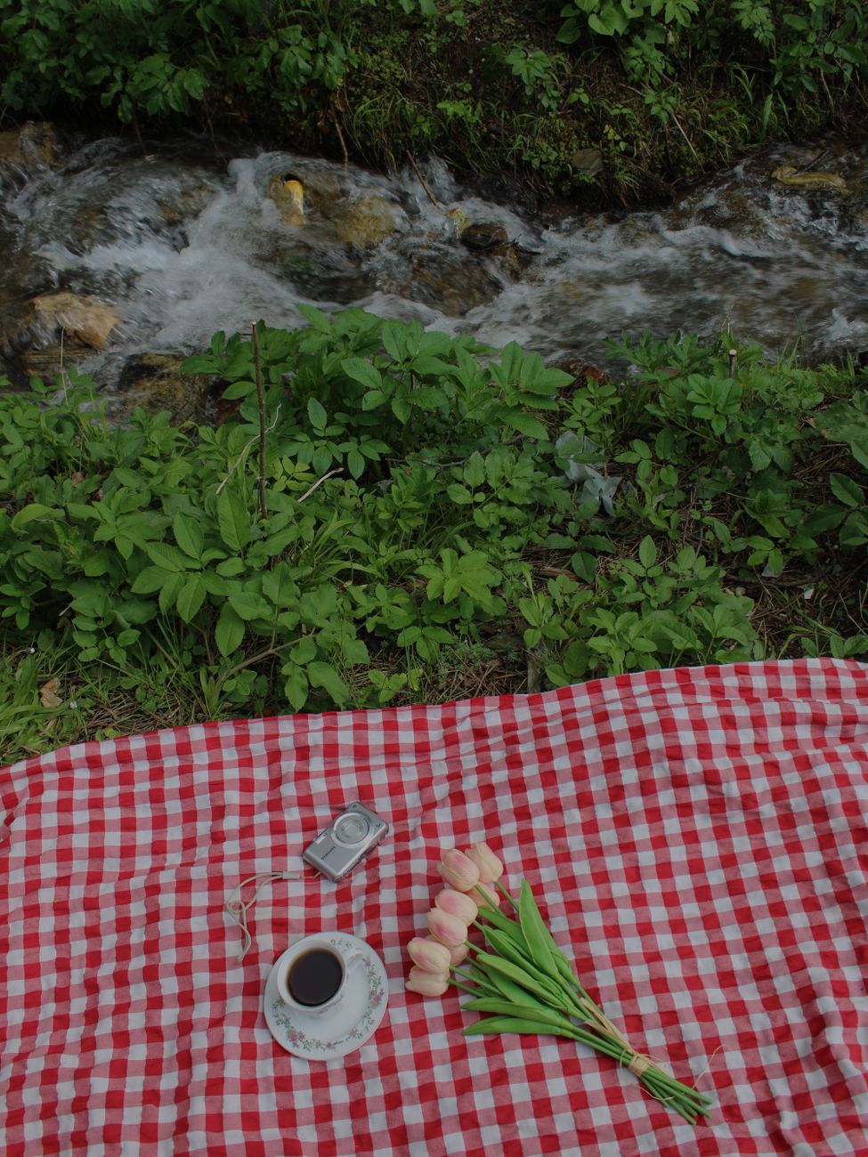 Yuvarlakçay Pikniği ve Alabalık Lezzeti: Köyceğiz'de Unutulmaz Bir Gün
