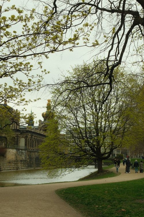 Free A serene view of Zwinger Palace gardens with blooming trees in Dresden, Germany. Stock Photo