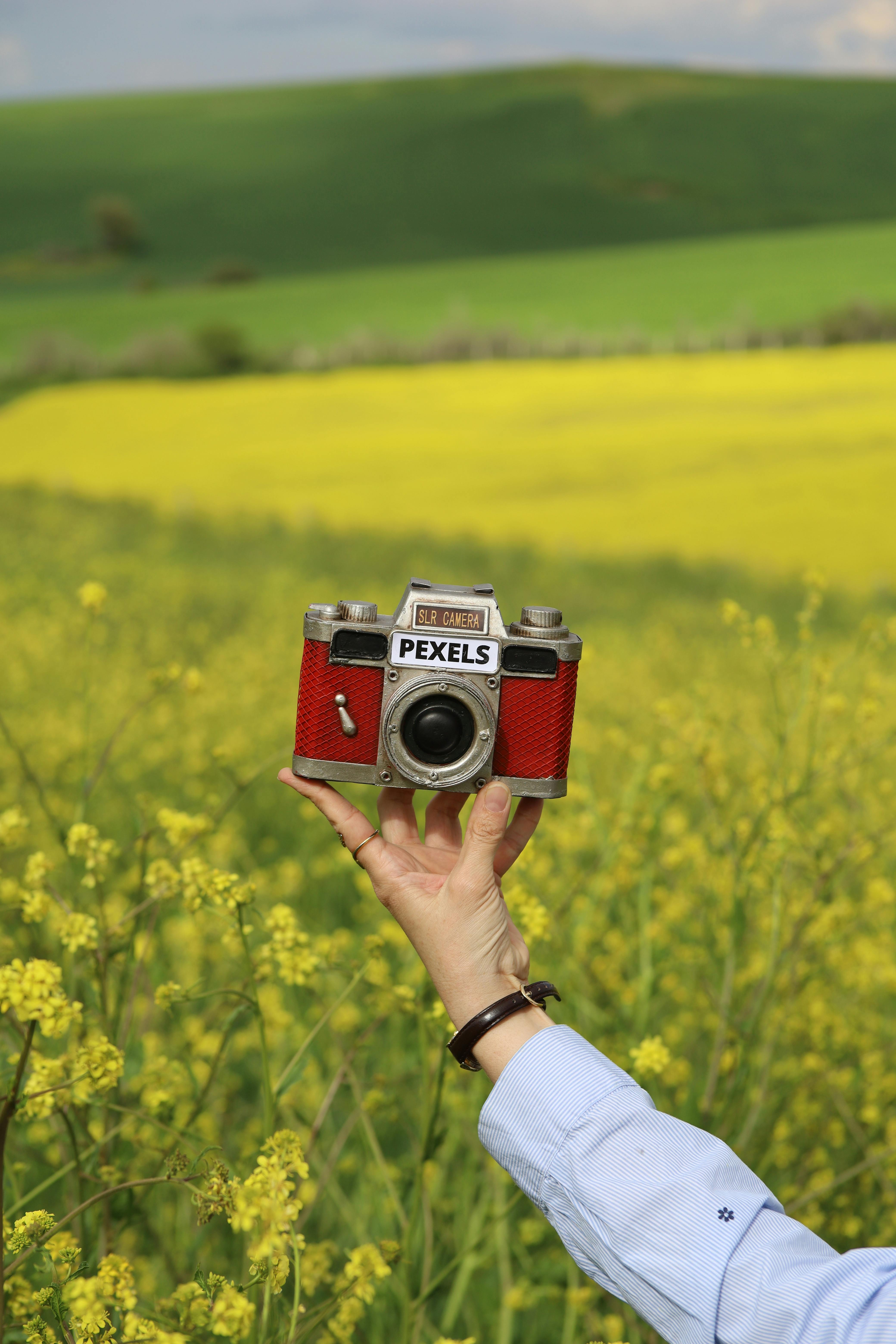 Hand holding a vintage red camera against a blooming yellow field, evoking nostalgia and creativity.
