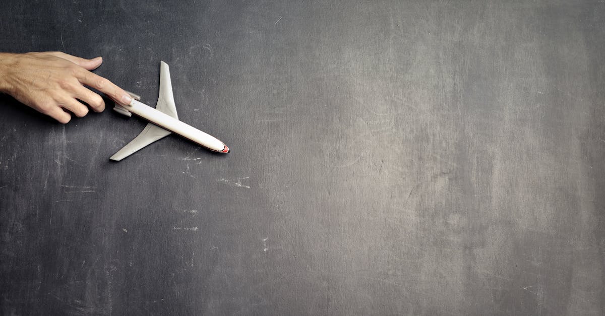 What does flight path mean in business