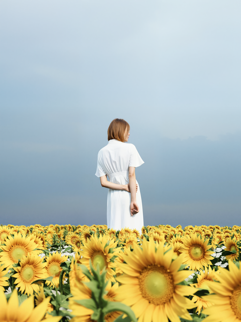 A woman in a white dress stands in a vibrant sunflower field under an overcast sky.