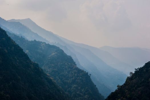 Chitwan jungle safari for rhinos — Nepal