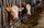 farm animals