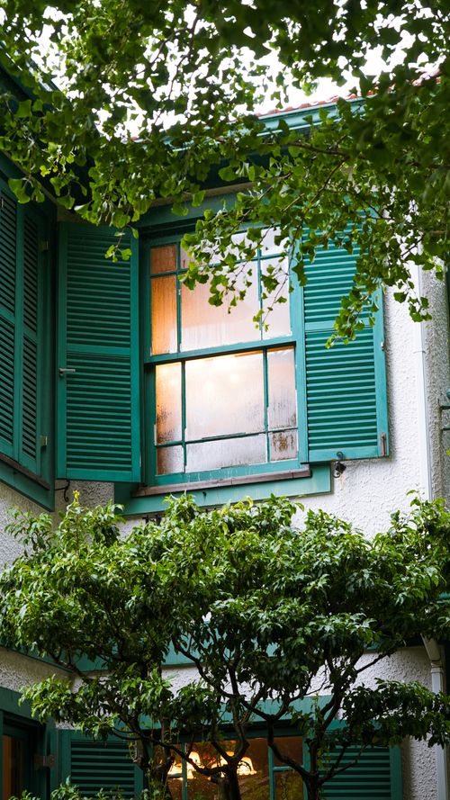 Free A serene view of a Japanese window with green shutters and lush foliage. Stock Photo