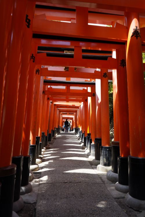 Free Explore the iconic red torii gates of Fushimi Inari Taisha in Kyoto, Japan. Stock Photo