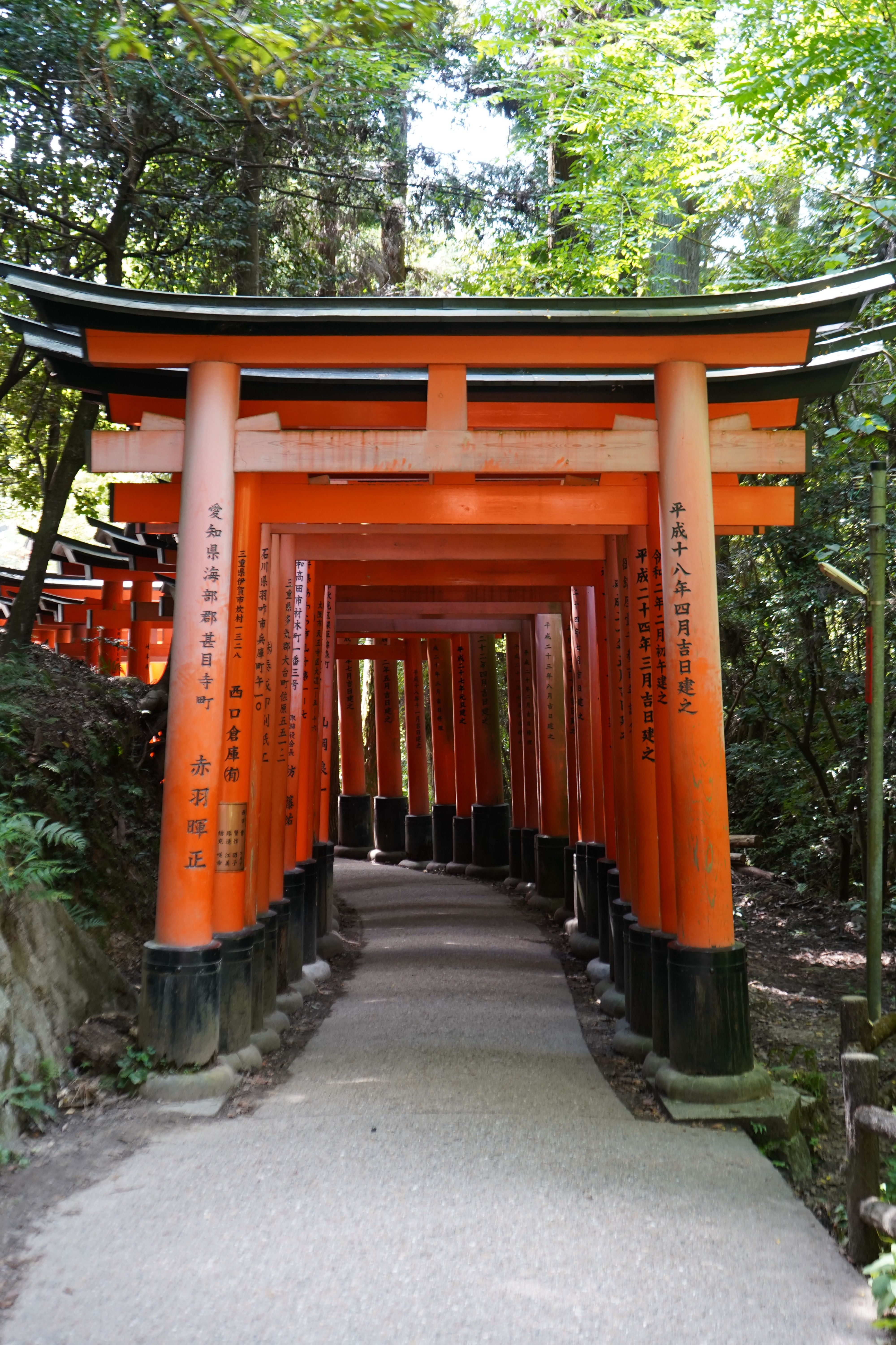 Emblemáticas Puertas Torii En Fushimi Inari, Japón. · Foto de stock ...
