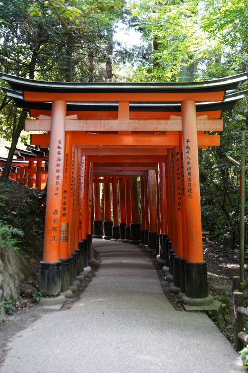Colored Inari Emblemáticas Puertas Torii En Fushimi Inari, Japón. · Foto de stock ...