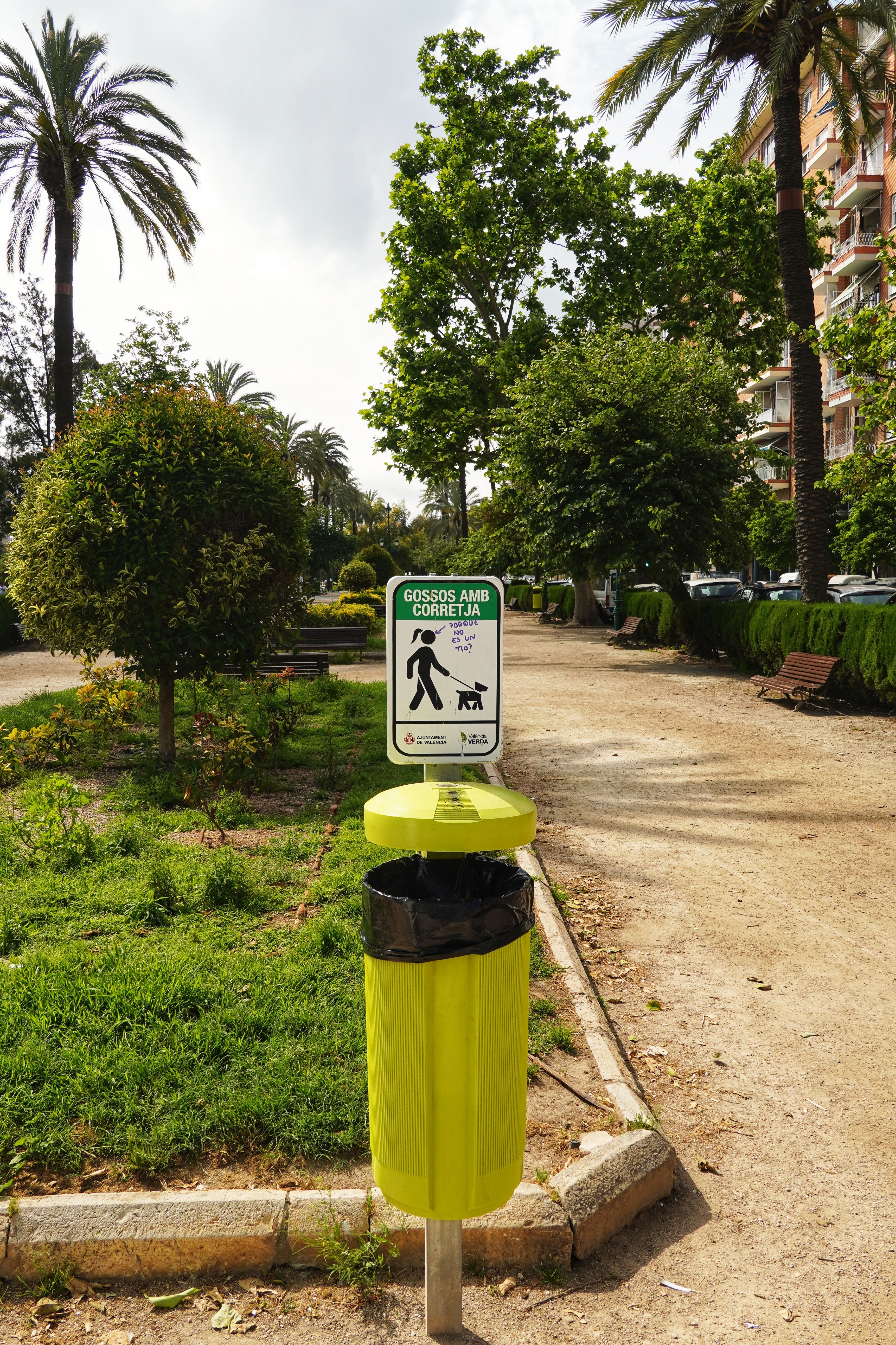 De franc Rètol que destaca les normes per a gossos en un assolellat parc de València amb palmeres. Foto d'estoc