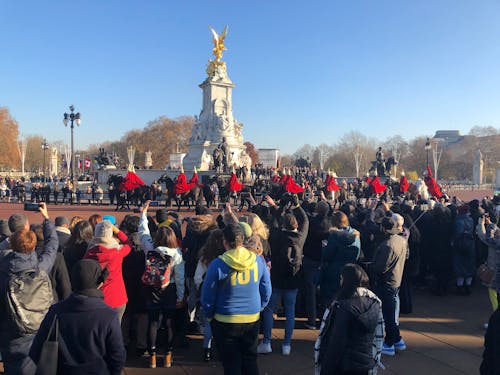 Foto d'estoc gratuïta de desfilada, el palau de buckingham, turistes