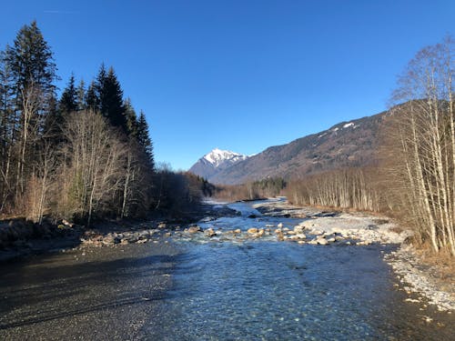 Foto d'estoc gratuïta de alps, giffre, glacial