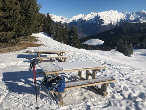 Foto d'estoc gratuïta de alps, hivern, morillon