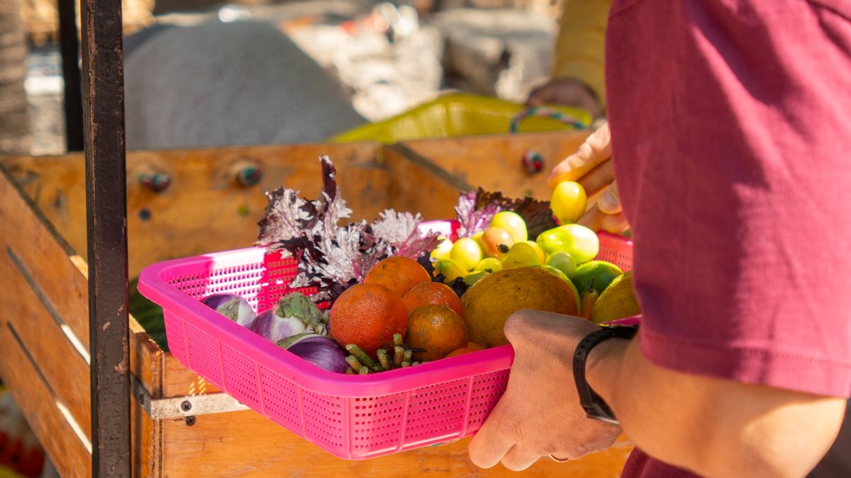 Alimentation locale : mythe ou réalité en 2026 ?