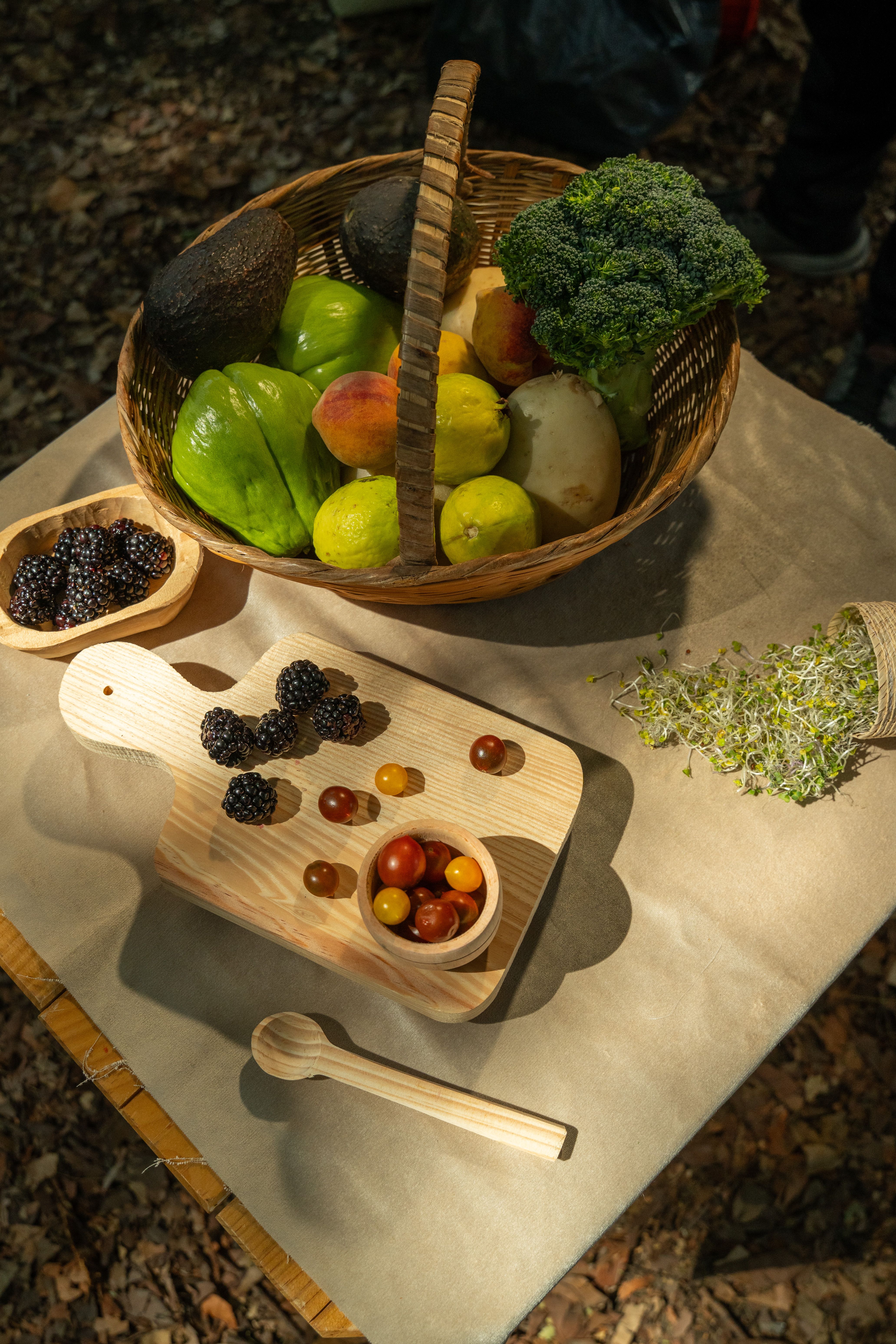 Alimentation préventive 