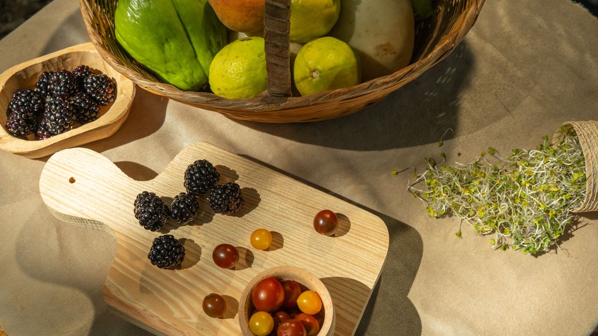 Alimentation préventive