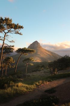 Breathtaking view of Lion's Head mountain during sunset surrounded by lush greenery.