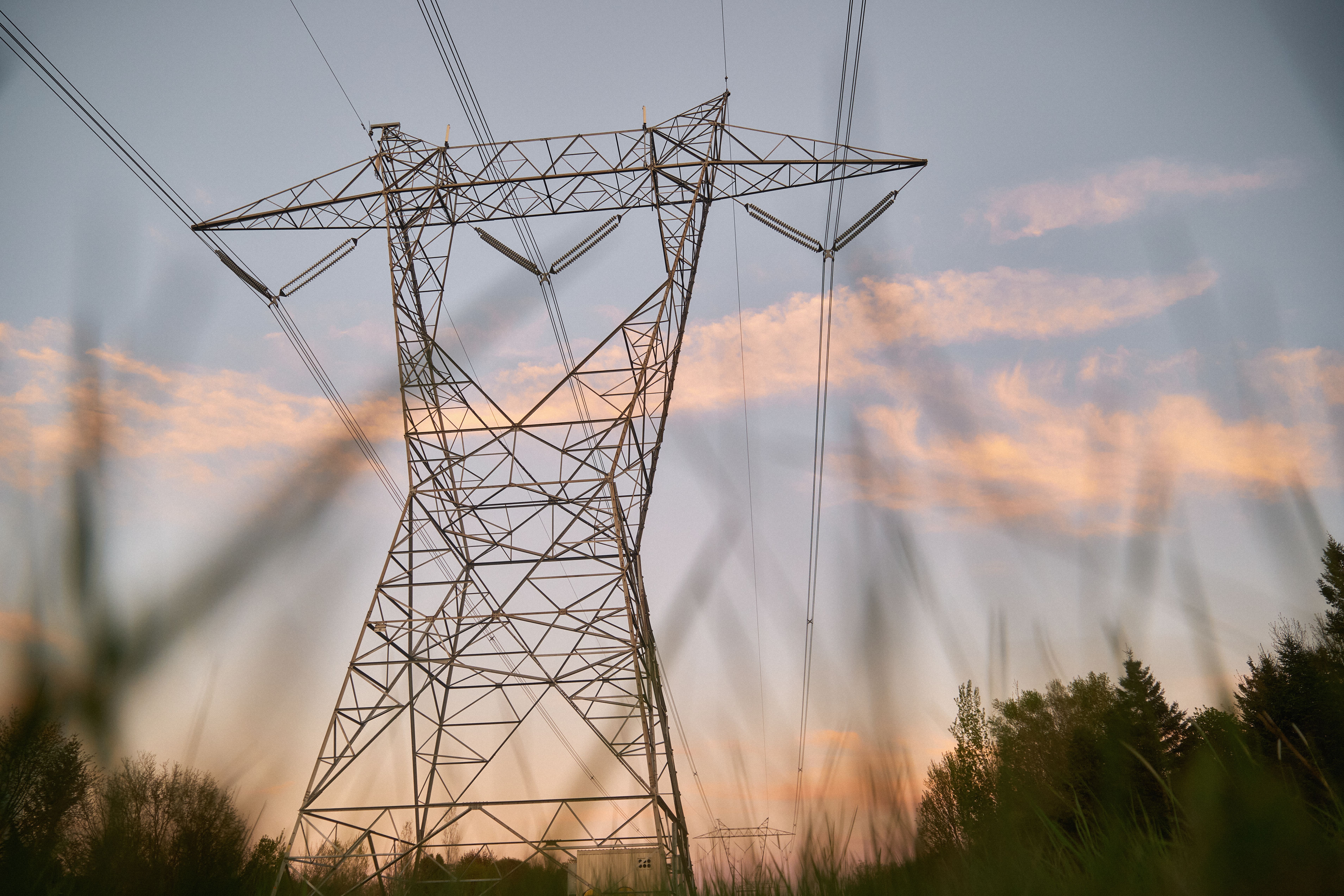 Cameroon approves renationalisation of main electricity