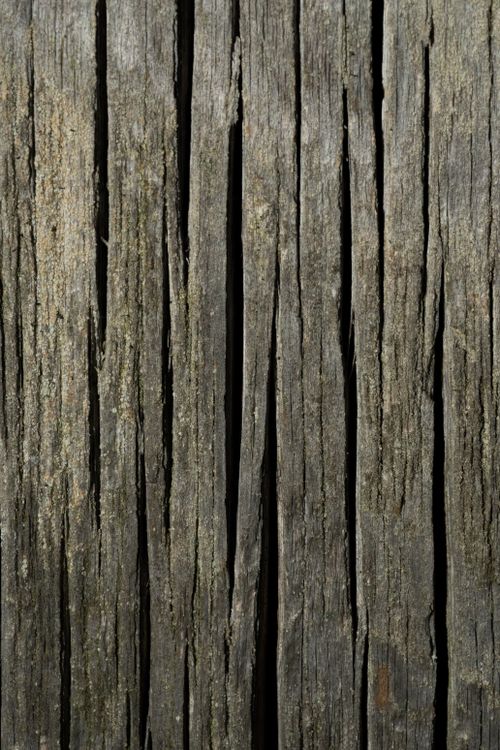 Free Detailed view of aged wooden planks showing texture and natural patterns. Stock Photo