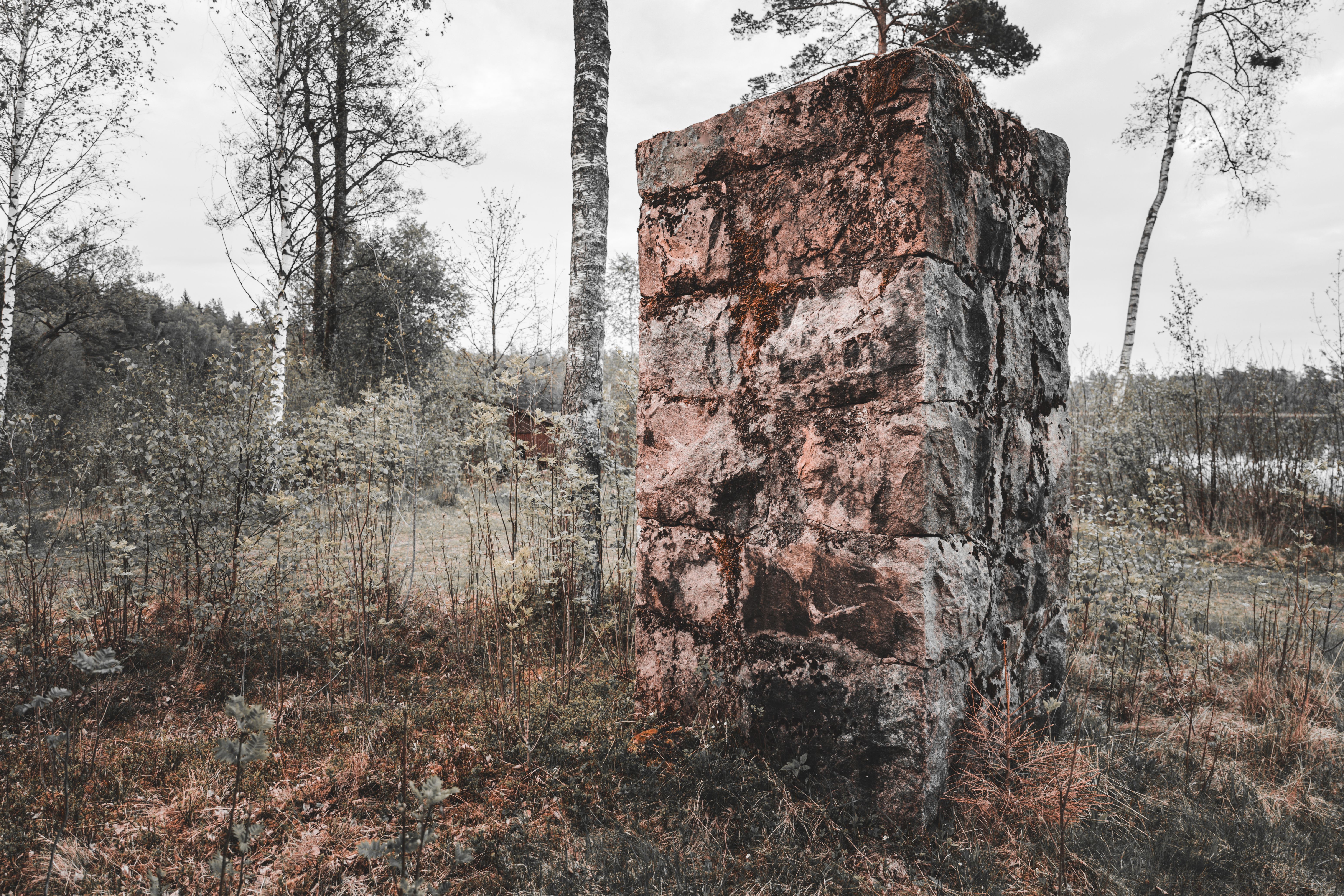 A rugged stone column amidst tranquil trees, exuding a natural rustic charm in an outdoor setting.
