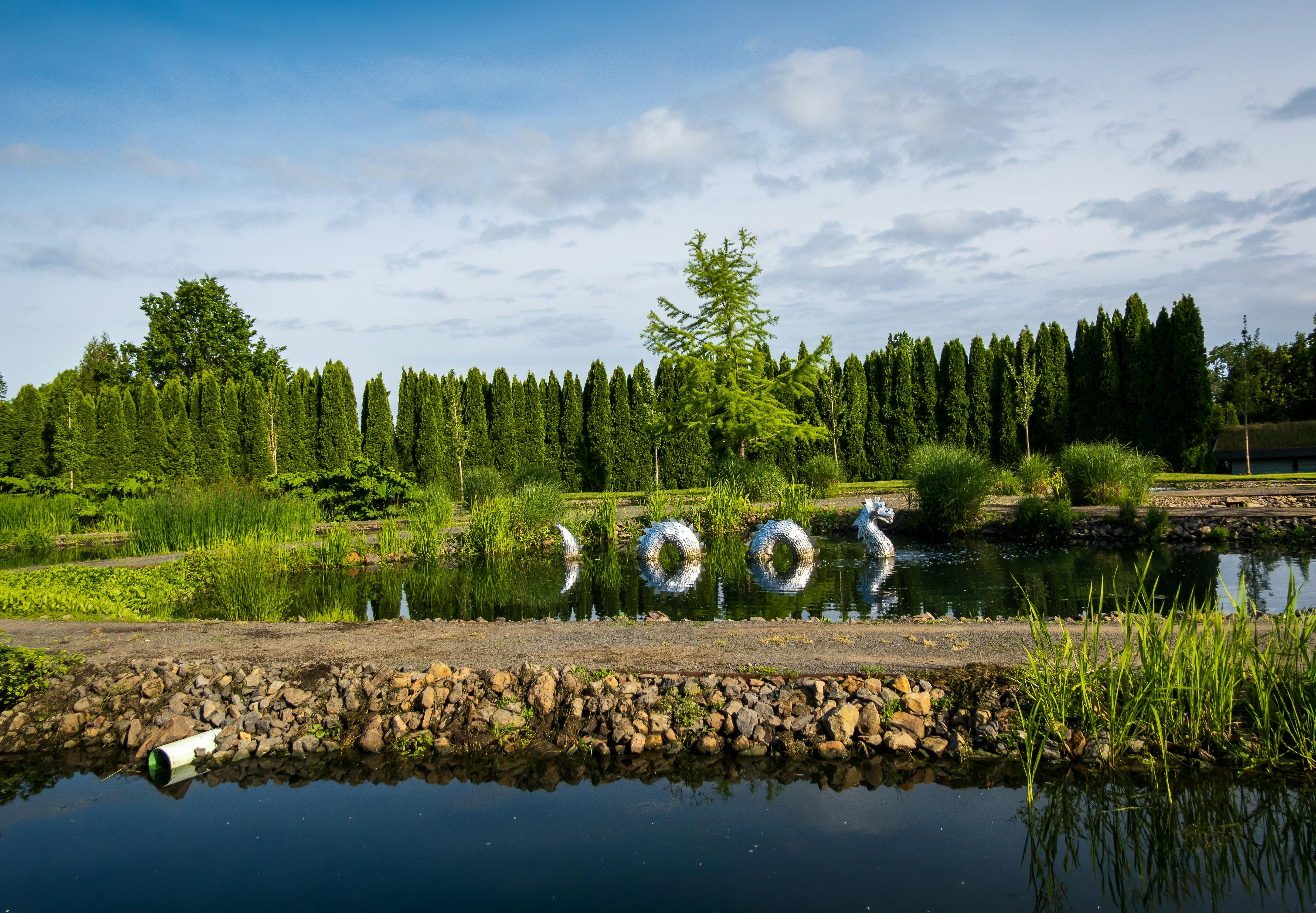 Peaceful pond surrounded by greenery with a unique floating art installation reflecting in the water.