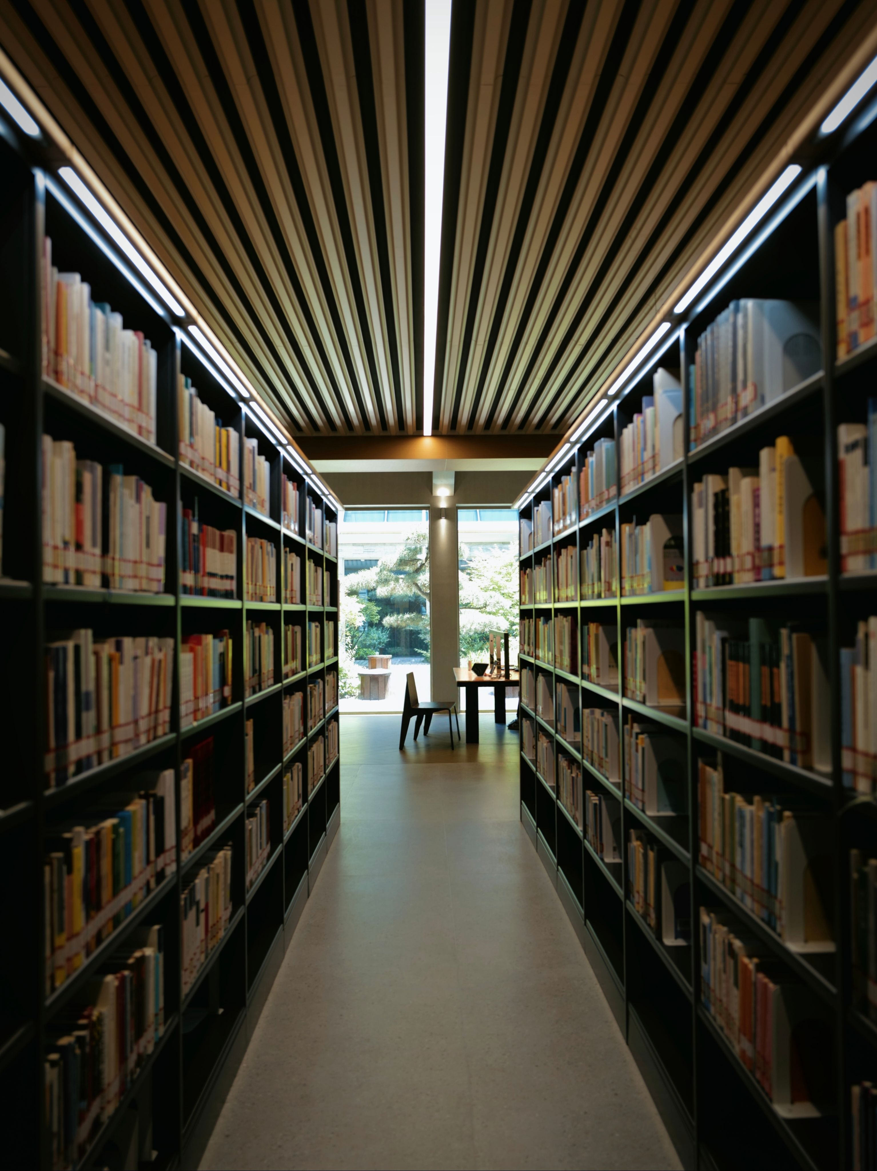 Modern Library Bookshelves Perspective · Free Stock Photo